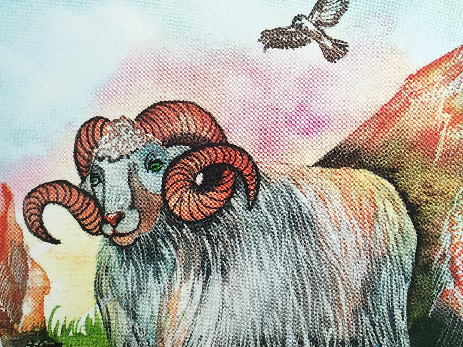 Decks Used in Aries Reading August 2021