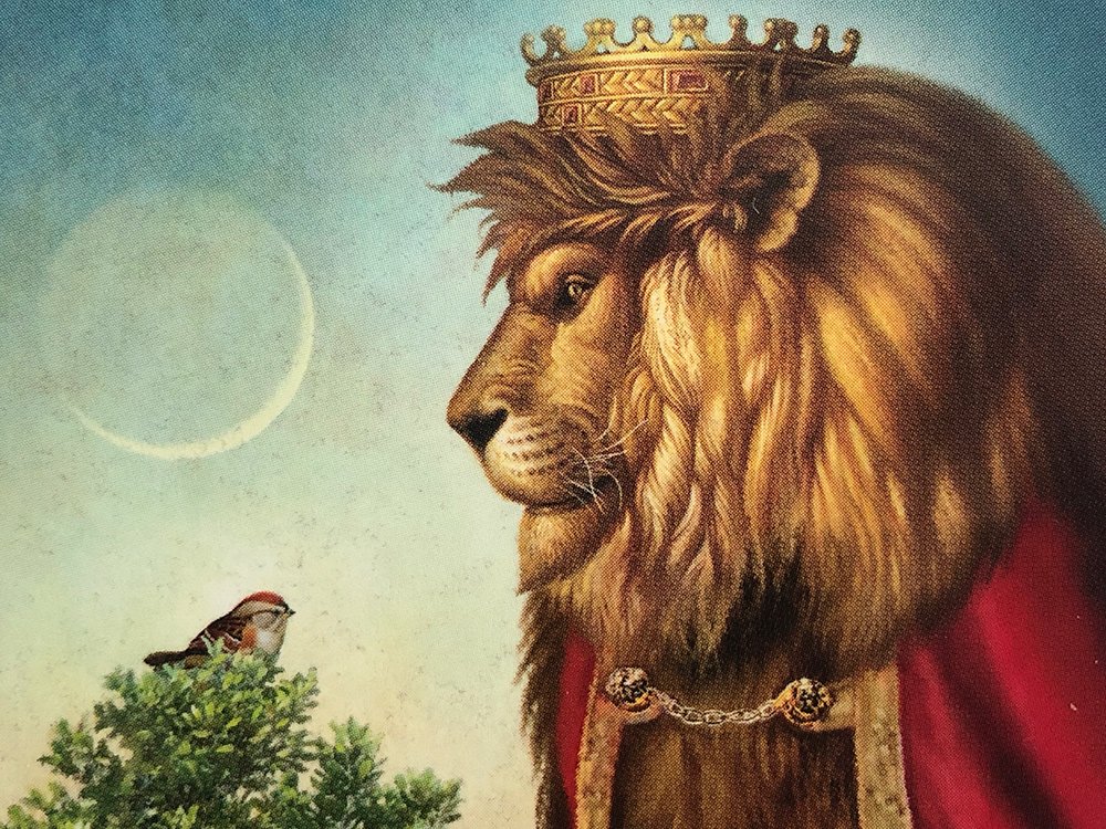 Decks Used in Leo’s Reading 2021