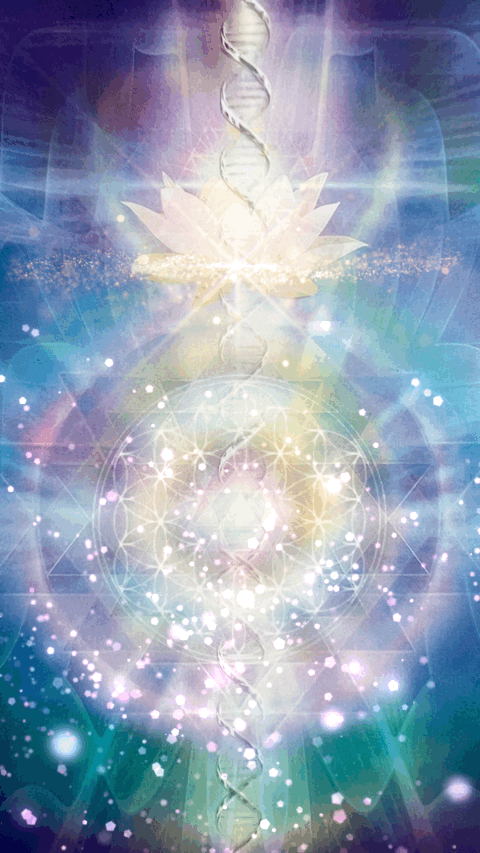 Virgo Extended August 2023